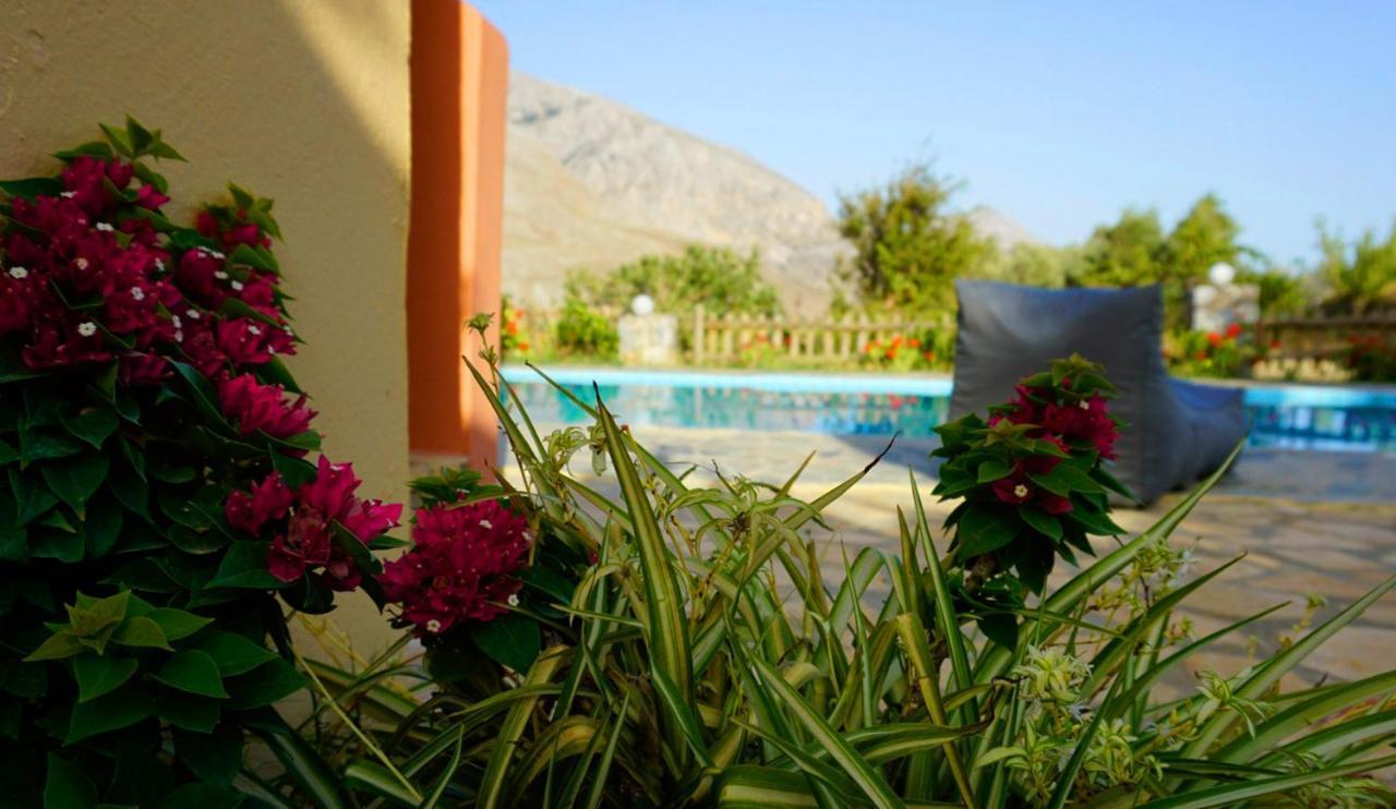 Villa Despina 1 Plakias Private Villa, Private Swimming Pool Garden,Amazing View Lefkogeia Exterior photo
